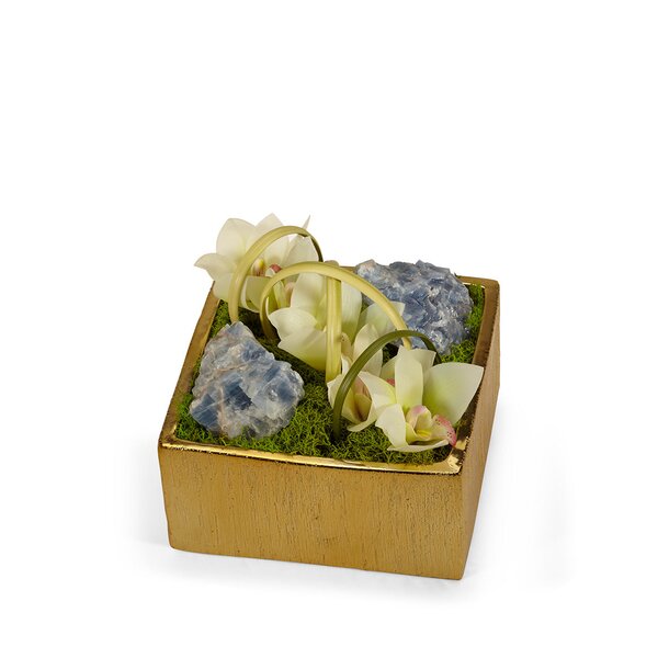 T C Floral Company Orchid Arrangement In Planter Wayfair